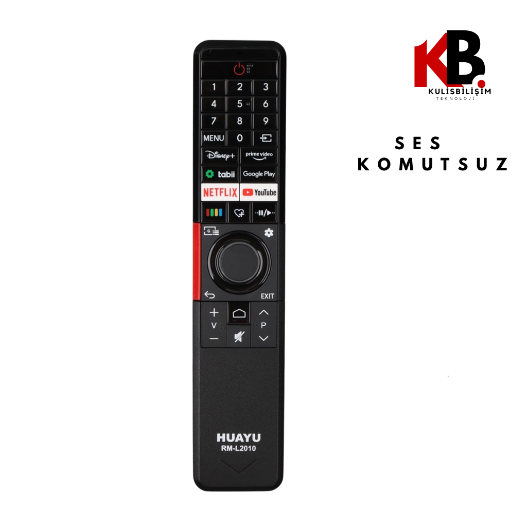 Vestel, Regal, Seg ve Toshiba çoklu uyumlu 2010