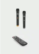 Subzero WR170 12''x2 100W 2 Kablosuz Mikrofonlu Kumandalı Baloncuk Çıkartan RGB Bluetooth/Usb/Sd Müzik Kutusu